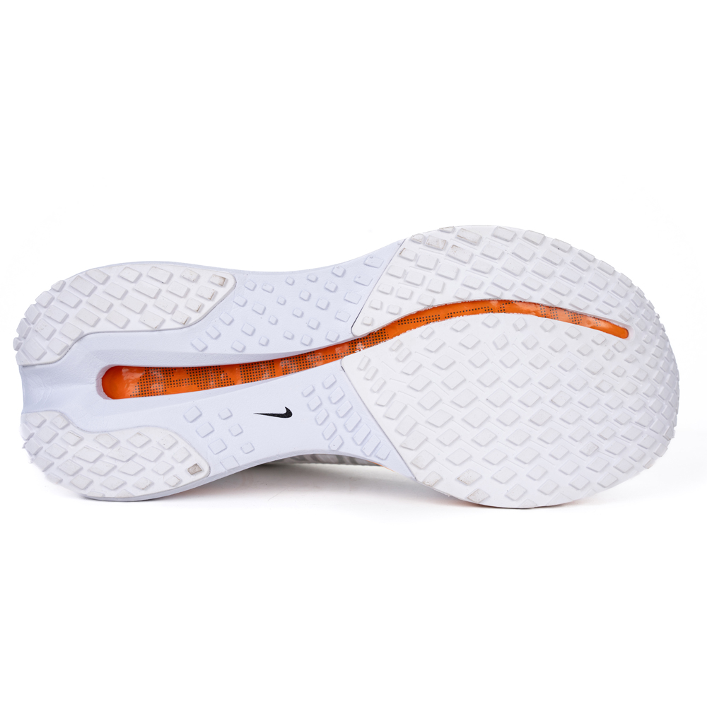 Nike Pegasus Premium “Airscape”