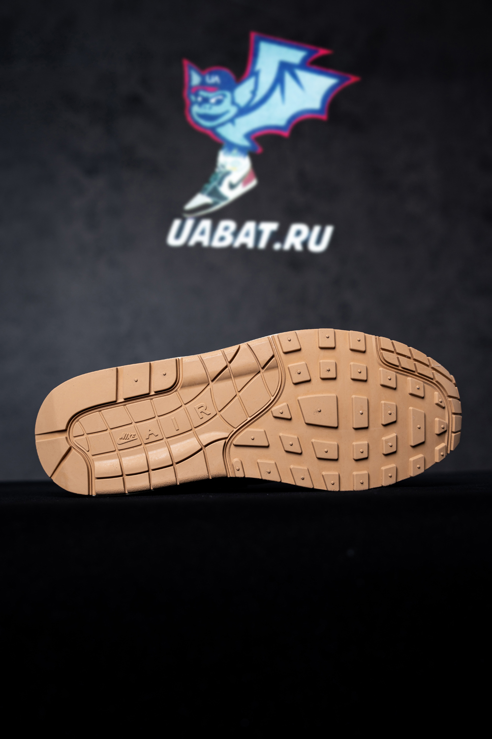 Concepts x Air Max 1 SP 