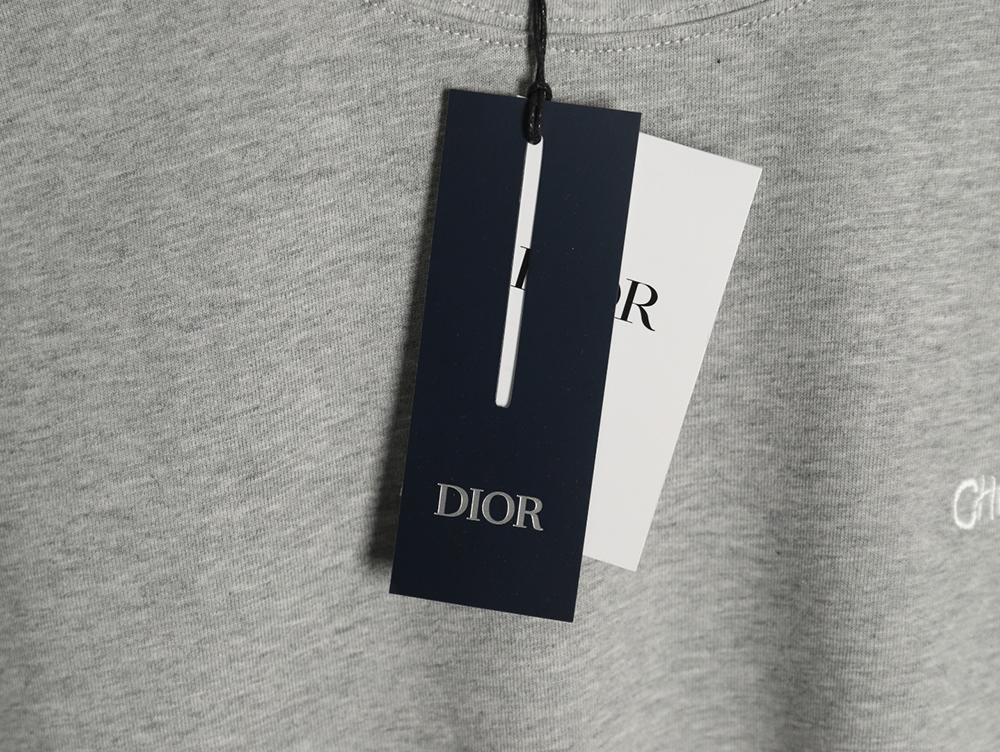 D*or cursive embroidered letters short-sleeved t-shirt tsk2