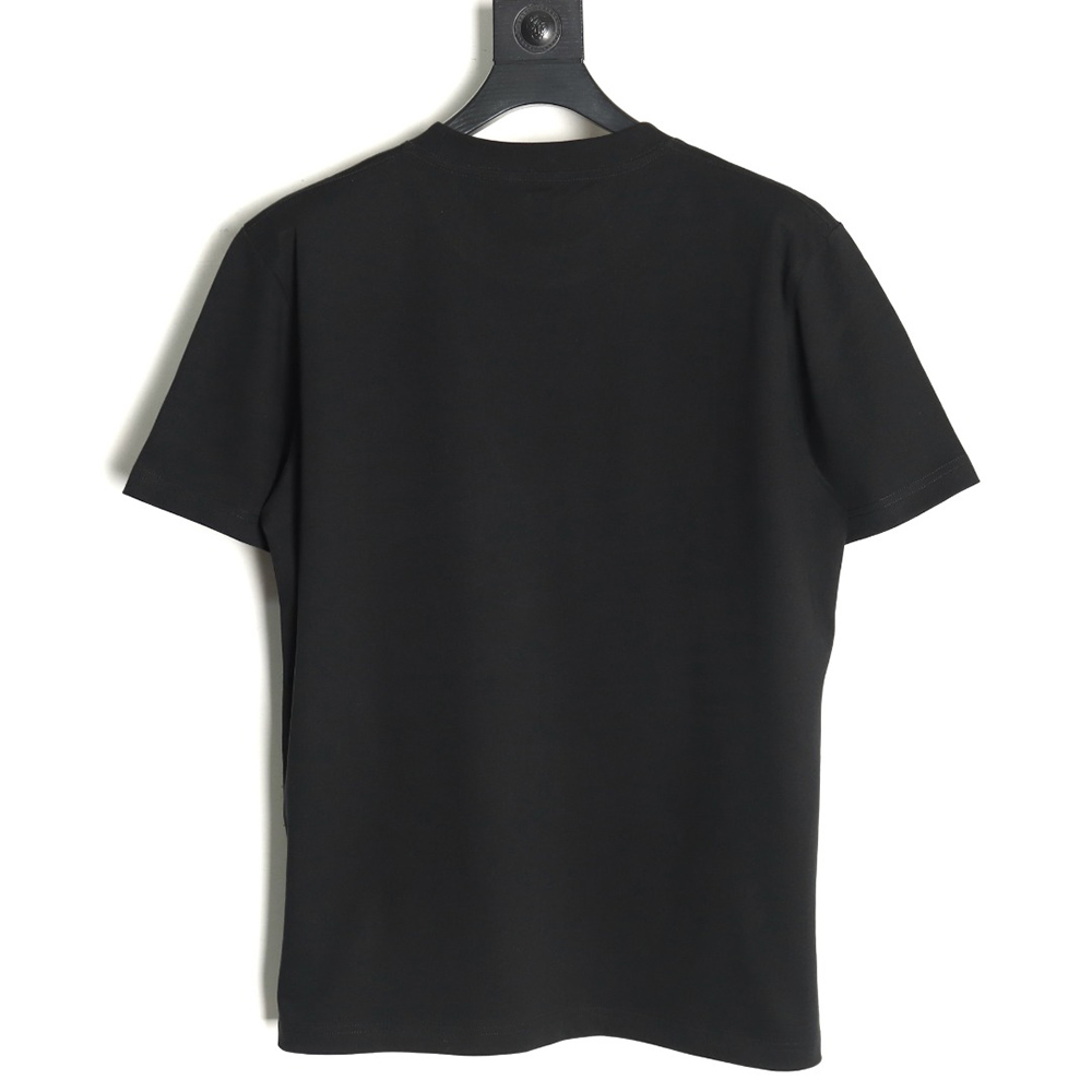 D*or cursive embroidered letters short-sleeved t-shirt tsk4