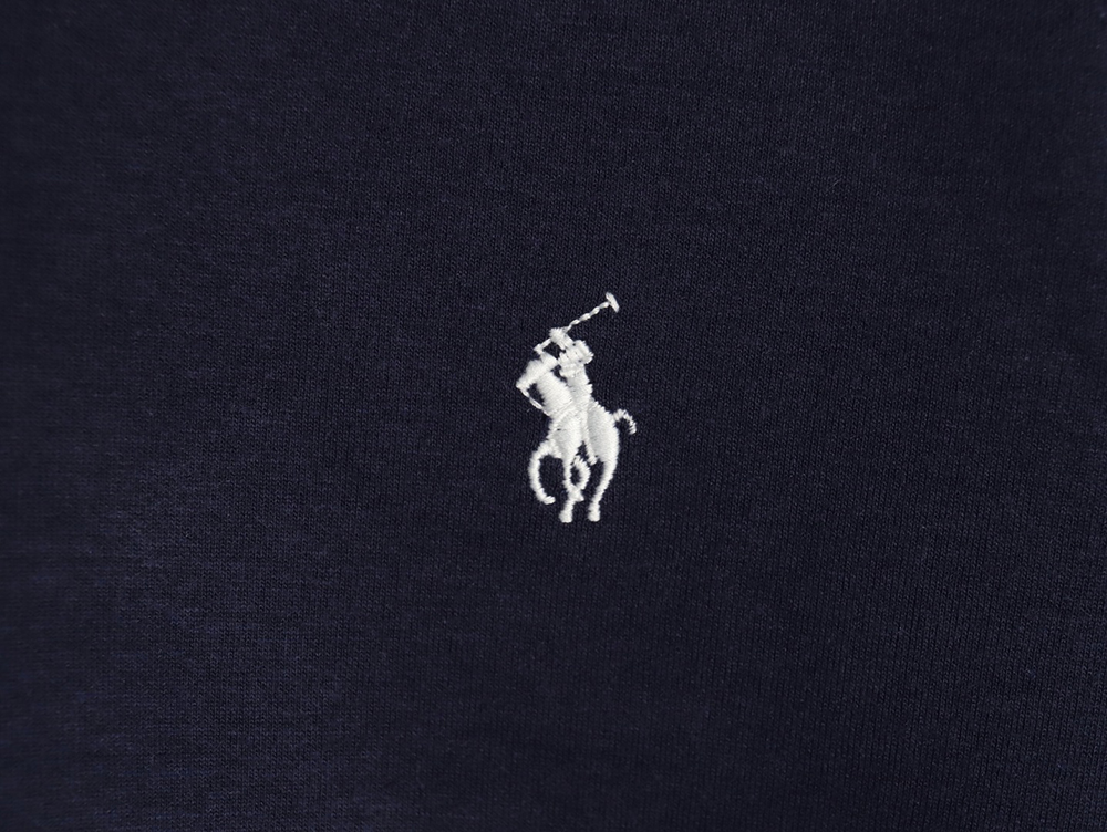 Ralph Lauren Pony Embroidered Logo Hoodie TSK1
