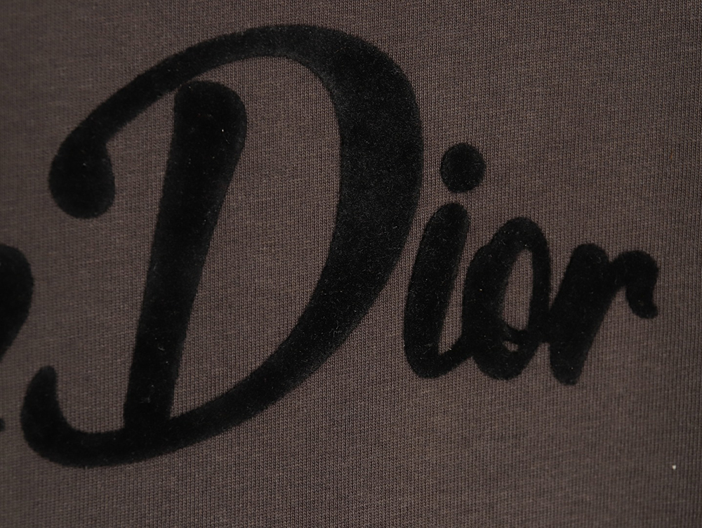 D*or logo pattern embroidered flocked letter t-shirt