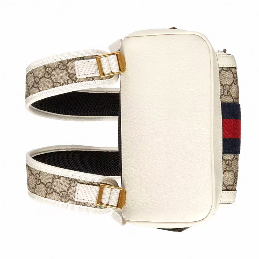 g*u*i gg S*p*e ophidia backpack 685769 23*29*14cm