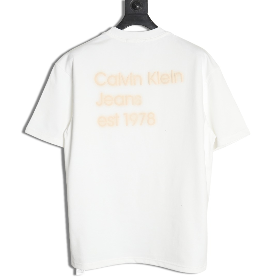 Calvin Klein small embroidery back print short sleeves