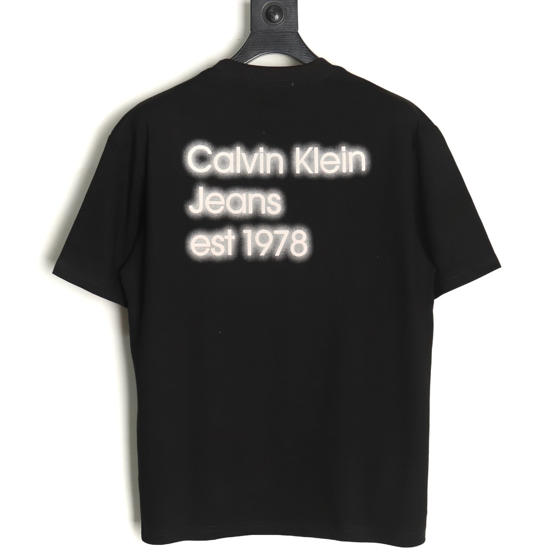 Calvin Klein small embroidery back print short sleeves TSK1
