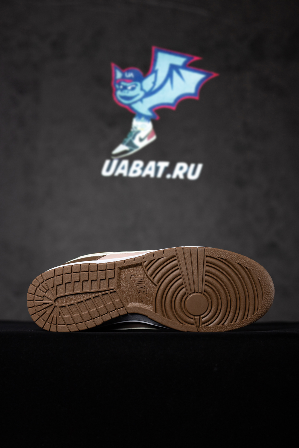 Stussy x Dunk Low Pro SB 