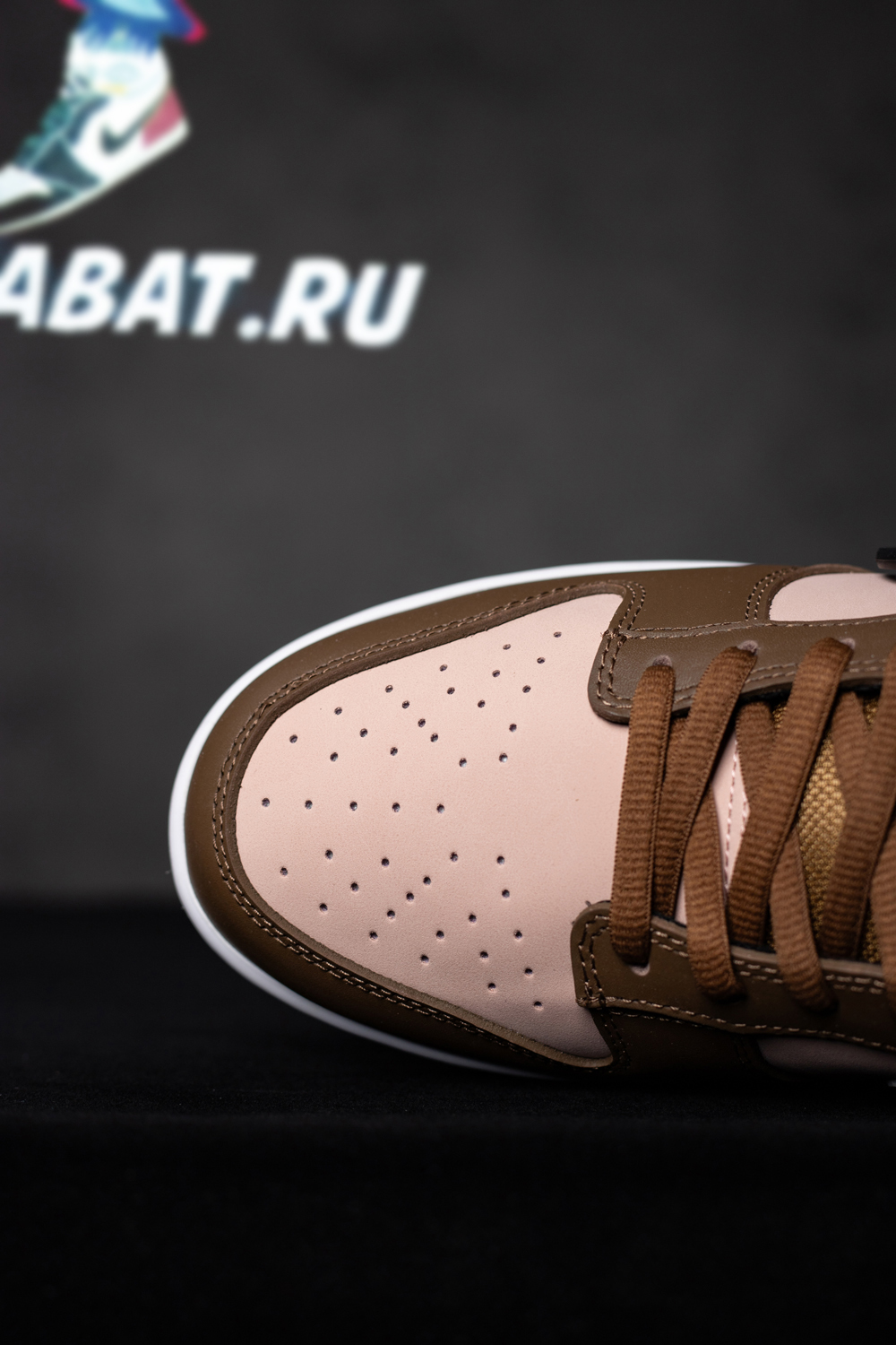 Stussy x Dunk Low Pro SB 