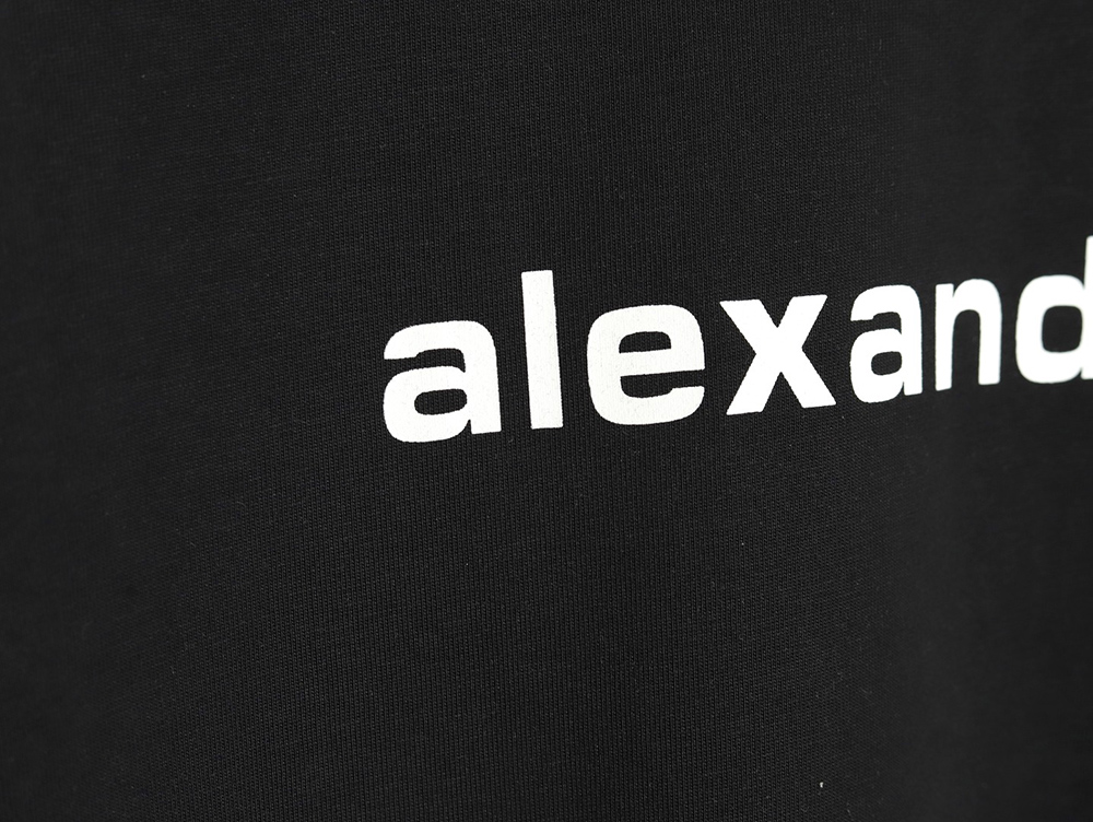 Alexander Wang Washed Lettering LOGO Short Sleeve T-Shirt TSK1