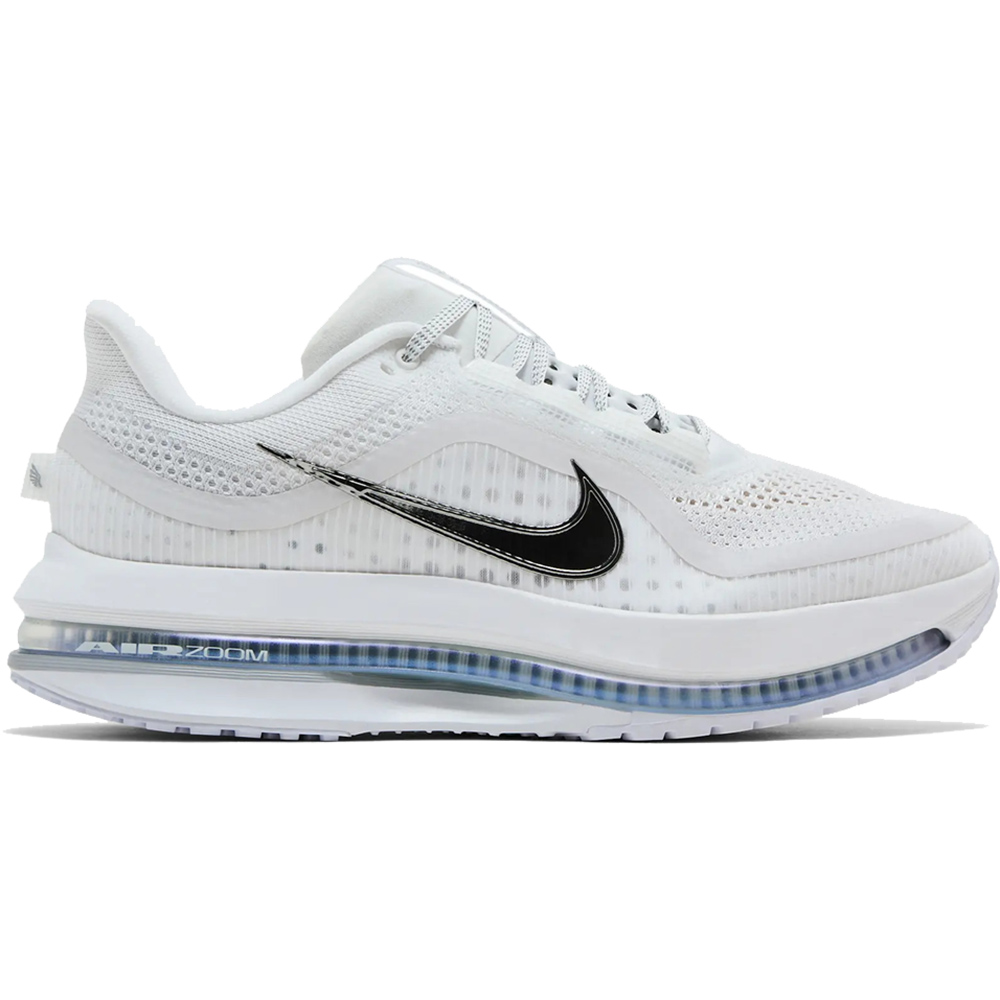 Nike Pegasus Premium ''White Metallic Silver''