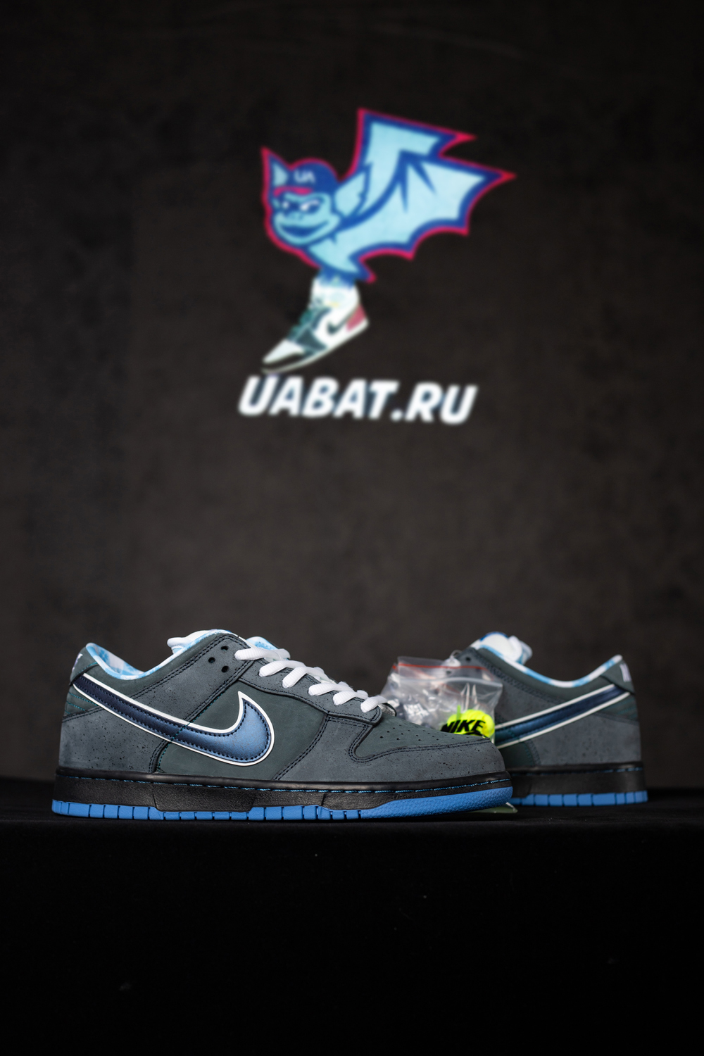 DUNK LOW PREMIUM SB 