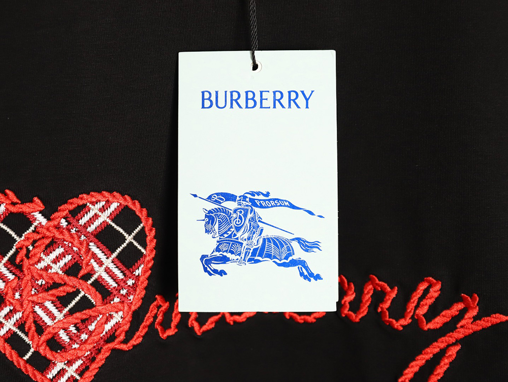 B**rry heart letter embroidered round neck short sleeve t-shirt tsk2