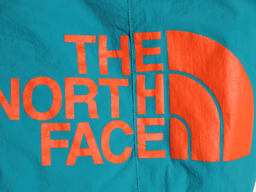 the nor*h F**e lettering print shorts