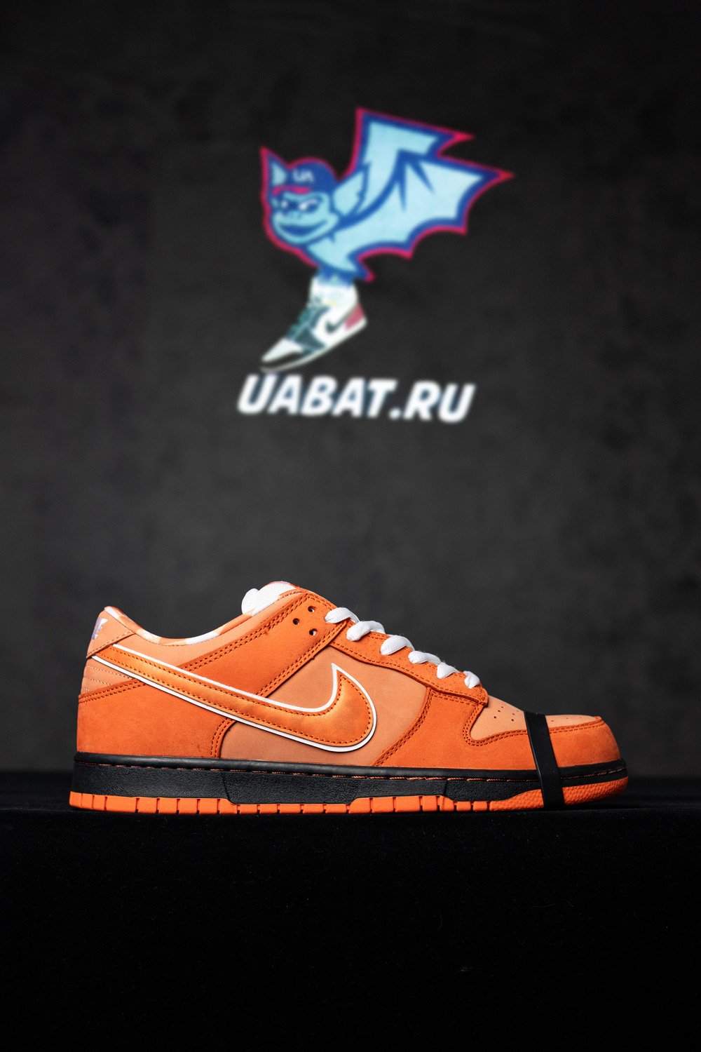 CONCEPTS X DUNK LOW SB
