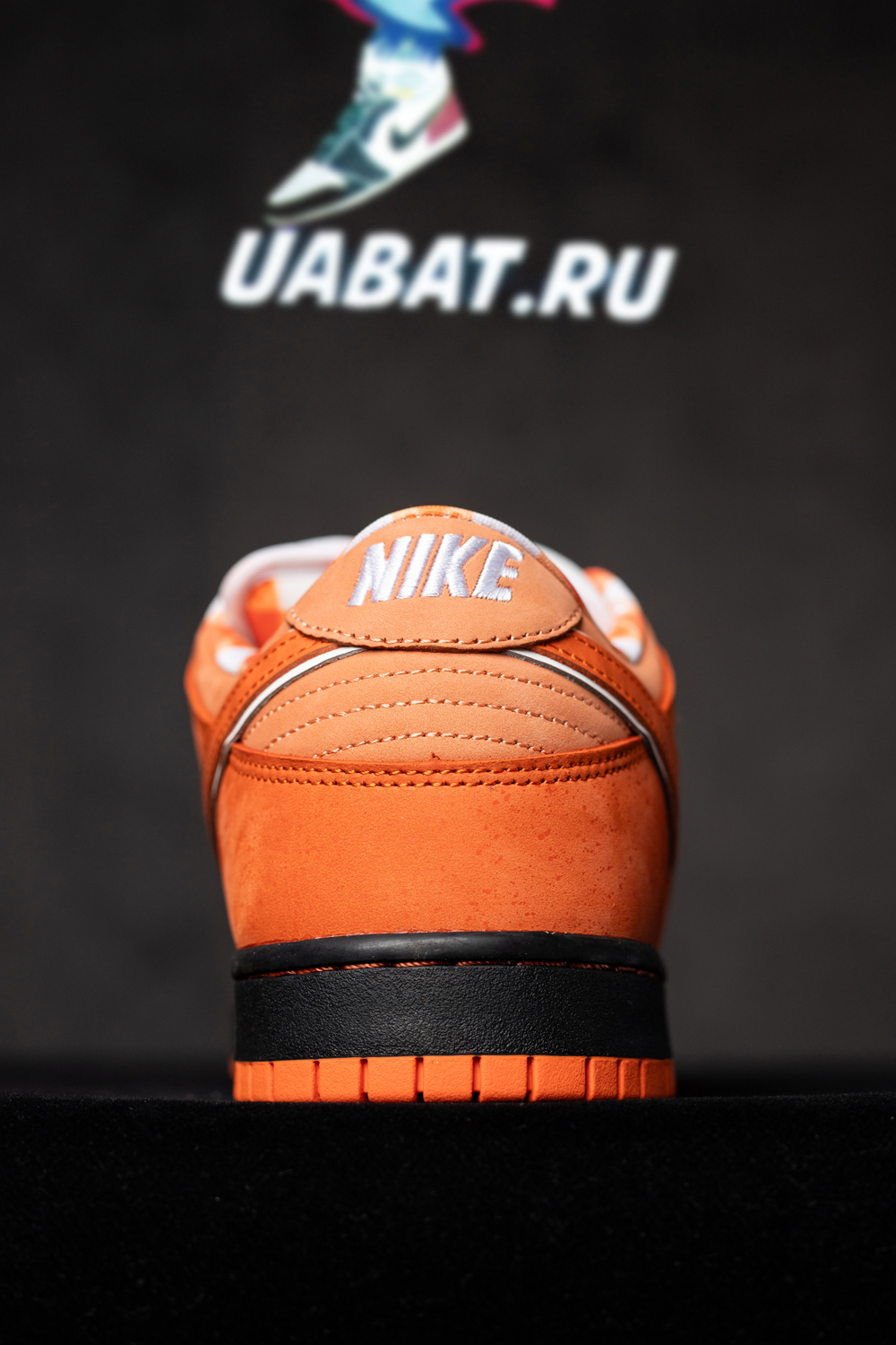 CONCEPTS X DUNK LOW SB