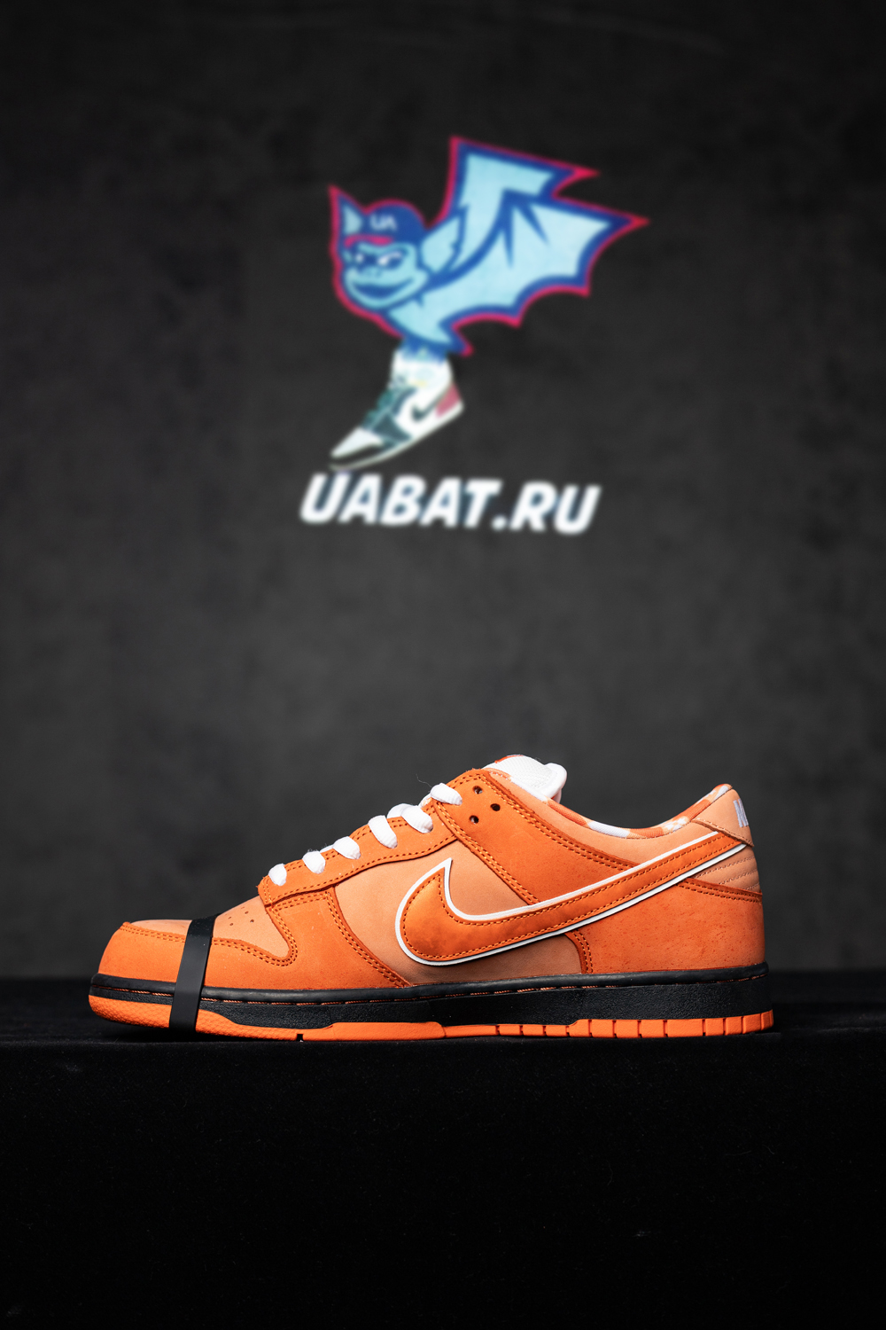 CONCEPTS X DUNK LOW SB