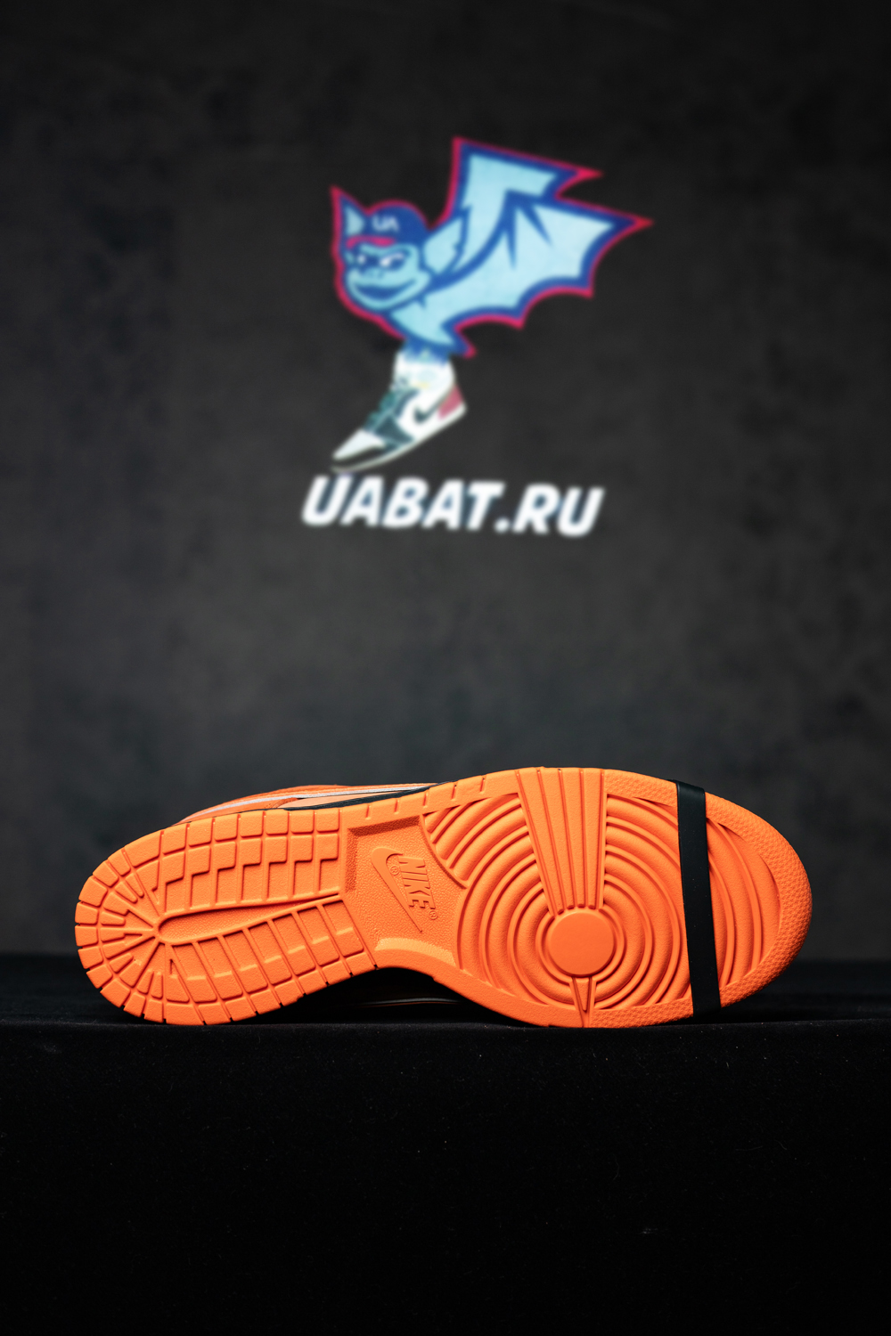 CONCEPTS X DUNK LOW SB