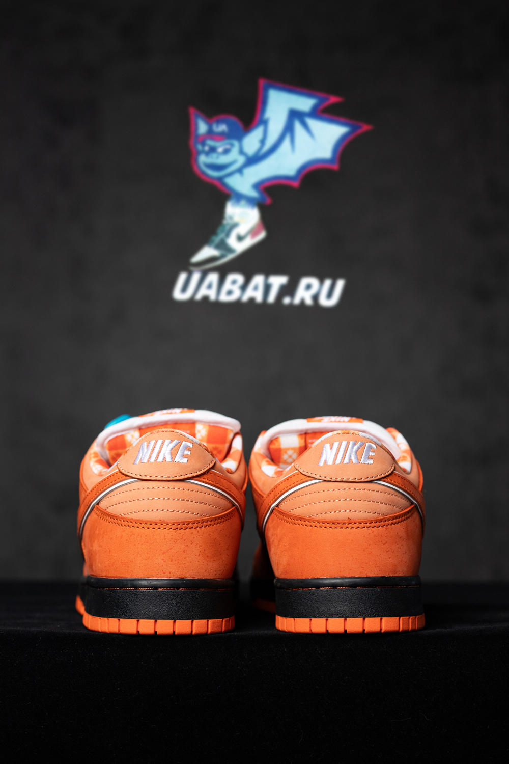 CONCEPTS X DUNK LOW SB