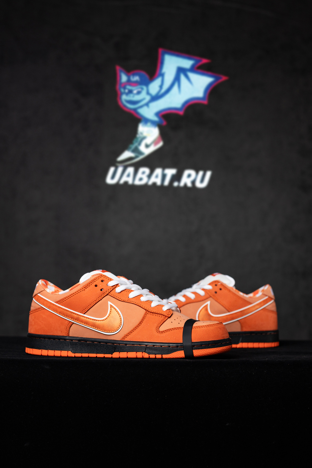 CONCEPTS X DUNK LOW SB