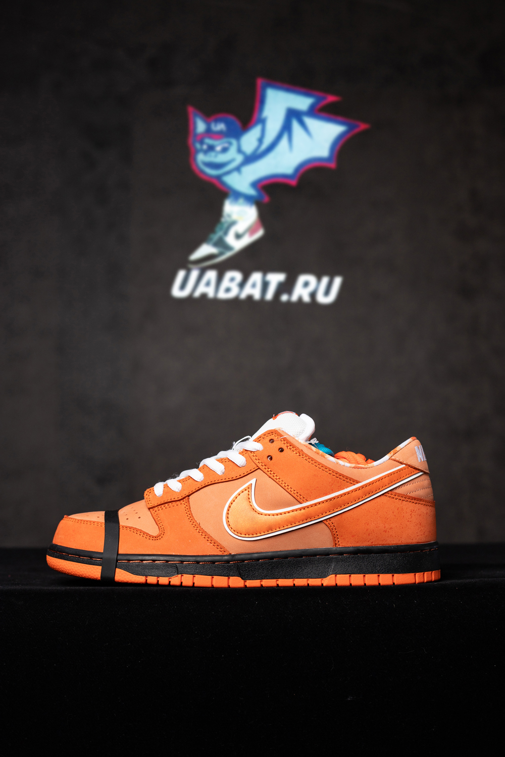 CONCEPTS X DUNK LOW SB