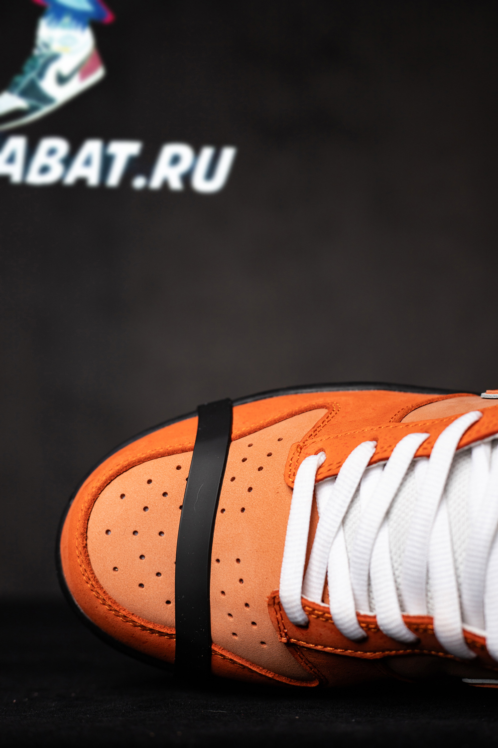 CONCEPTS X DUNK LOW SB