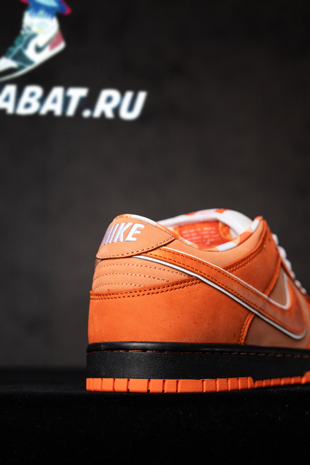 CONCEPTS X DUNK LOW SB