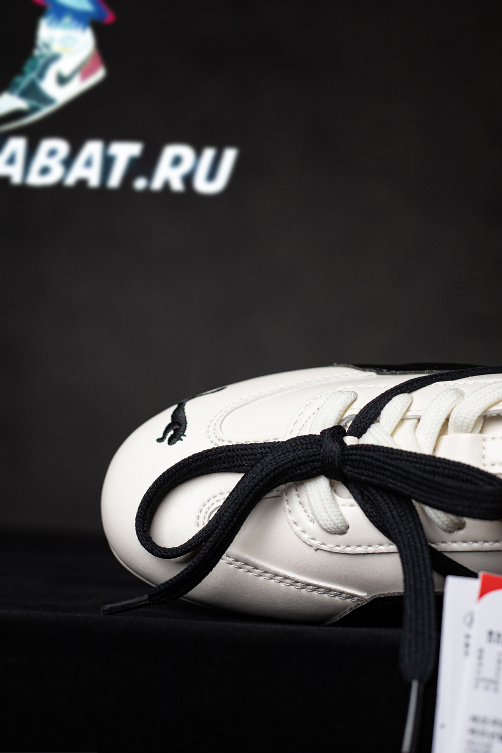 Rosé & Speedcat Premium 