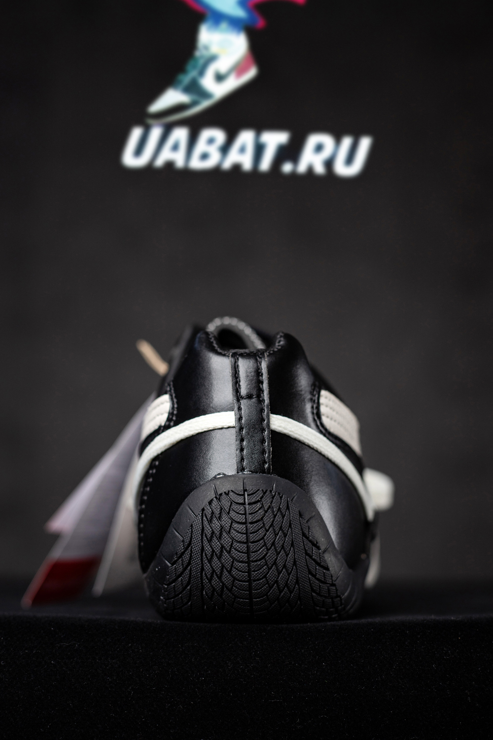 Rosé & Speedcat Premium 