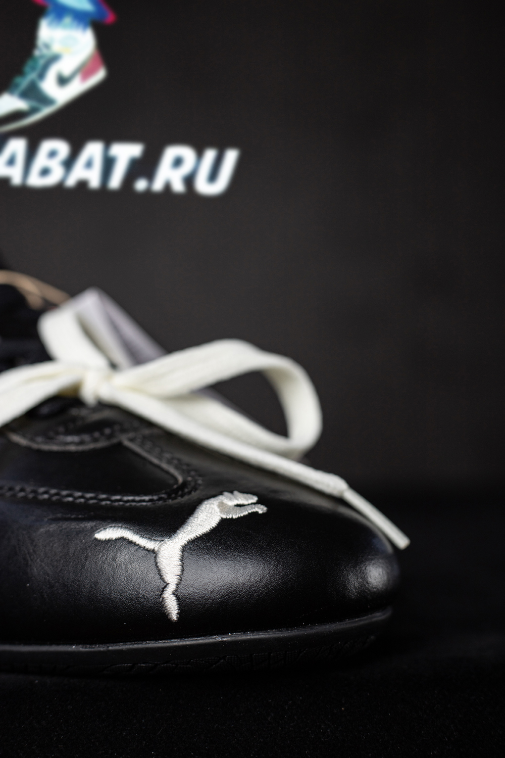 Rosé & Speedcat Premium 