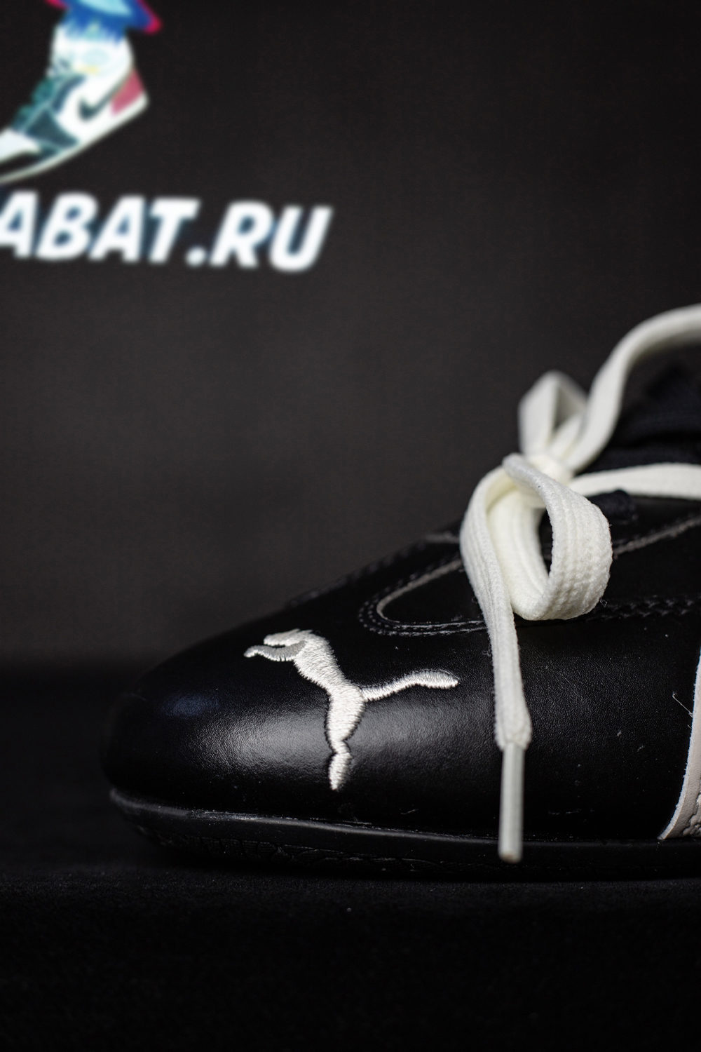 Rosé & Speedcat Premium 